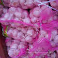 Wholesale Price Fresh Garlic Normal White